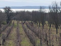 Eladó földterület Balatonakali 3. kép