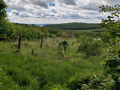 Eladó földterület Balatoncsicsó 6. kép