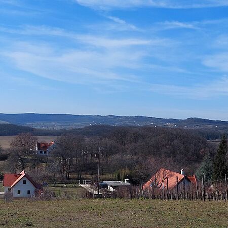 Eladó földterület Balatonszőlős