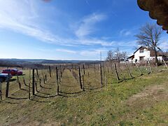 Eladó földterület Balatonszőlős 2. kép