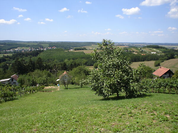 Eladó ház Zalaegerszeg, Erzsébethegy