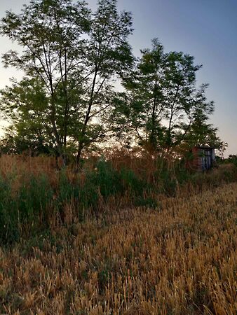 Eladó földterület Balatonszabadi