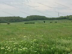 Eladó földterület Balatonszőlős 3. kép