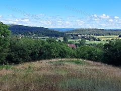 Eladó földterület Balatonszőlős 5. kép