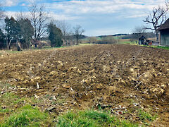 Eladó földterület Zalaháshágy