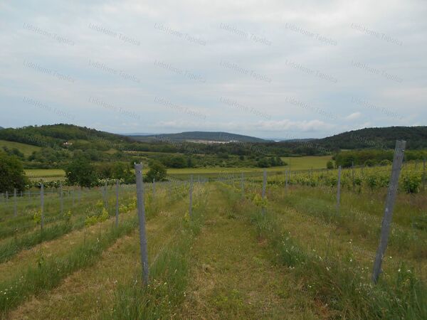 Eladó földterület Mindszentkálla