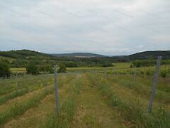 Eladó földterület Mindszentkálla