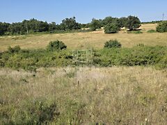 Eladó földterület Balatonalmádi