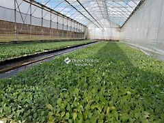 Eladó földterület Kecskemét