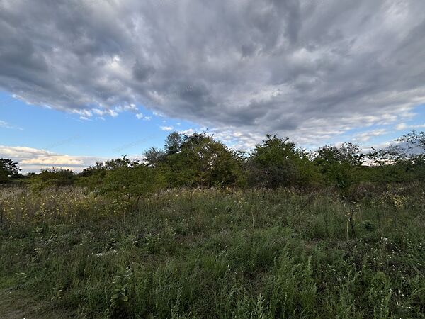 Eladó földterület Alsónémedi