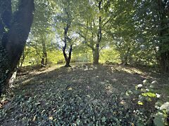 Eladó földterület Zalaegerszeg