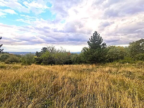 Eladó földterület Vác