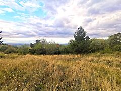 Eladó földterület Vác