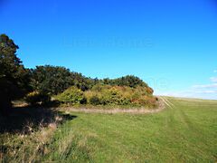 Eladó földterület Balatonszőlős