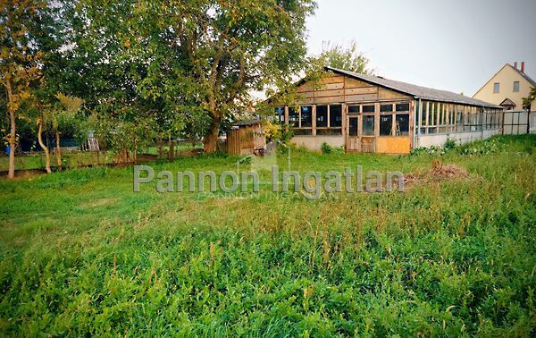 Eladó üzleti Sárszentmihály