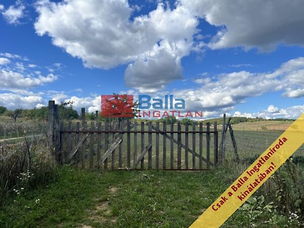 Eladó földterület Őrbottyán