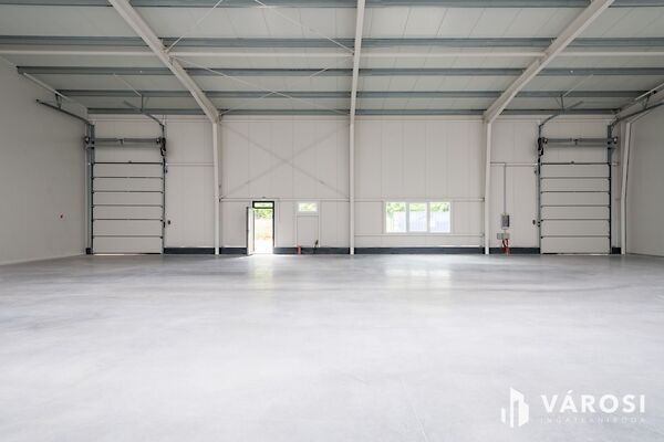 Eladó üzleti Alsónémedi