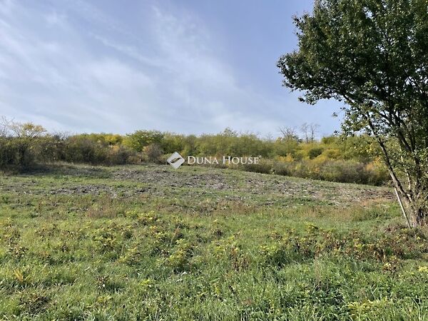 Eladó földterület Tinnye