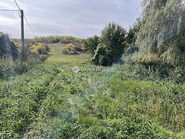 Eladó földterület Tinnye