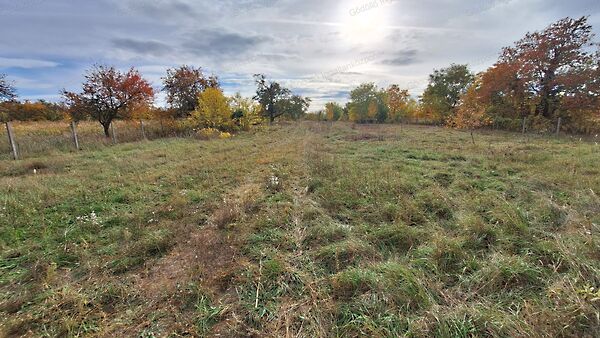 Eladó földterület Szada
