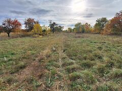 Eladó földterület Szada