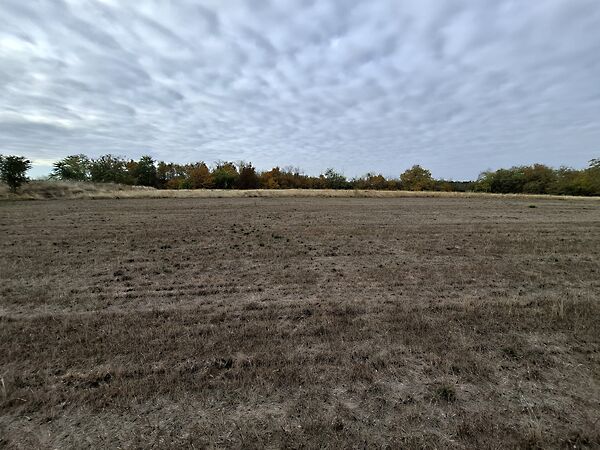 Eladó földterület Gomba