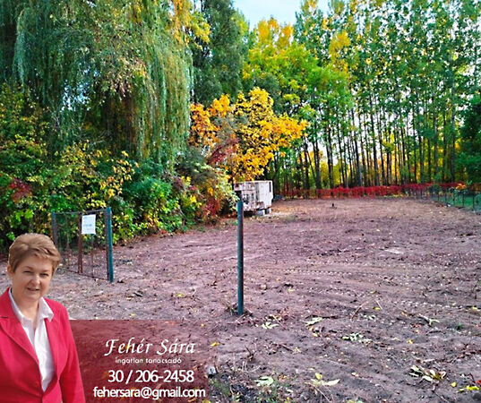 Eladó földterület Tiszaug
