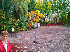 Eladó földterület Tiszaug