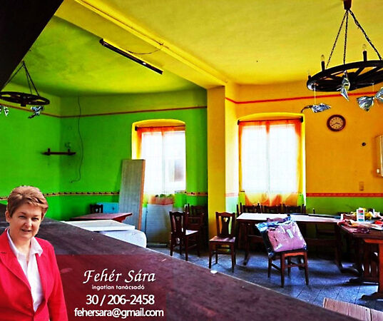 Eladó üzleti Tiszajenő