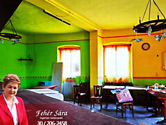 Eladó üzleti Tiszajenő