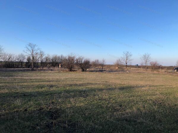 Eladó földterület Szászberek