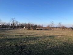 Eladó földterület Szászberek