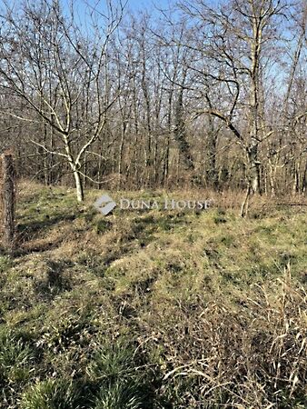 Eladó földterület Sárvár