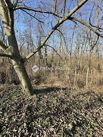 Eladó földterület Sárvár