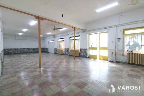 Kiadó üzleti Algyő