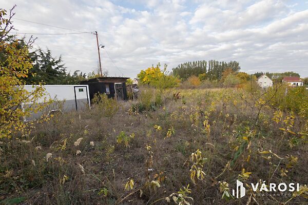 Eladó földterület Bordány