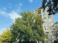 Eladó lakás Dunakeszi