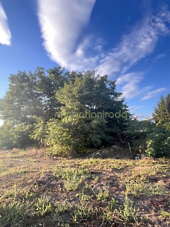 Eladó ház Nyírtelek