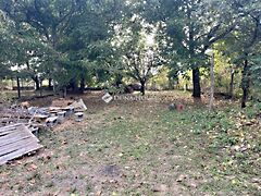 Eladó ház Szalánta