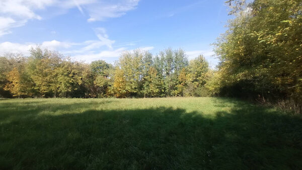 Eladó földterület Galambok