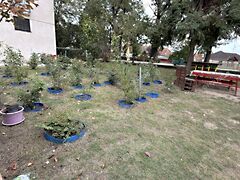 Eladó lakás Kecskemét