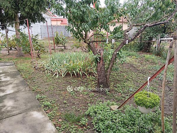 Eladó ház Gyomaendrőd