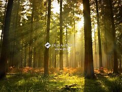 Eladó földterület Újlengyel