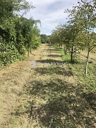 Eladó ház Vajszló