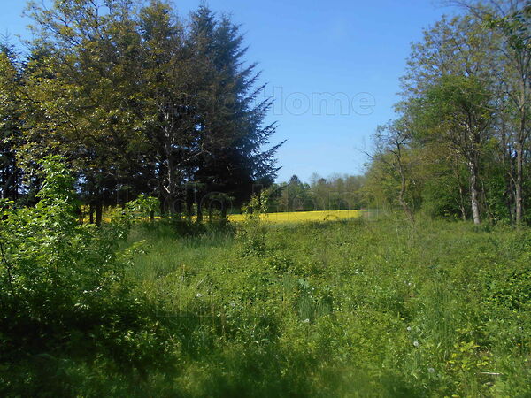 Eladó földterület Olaszfa