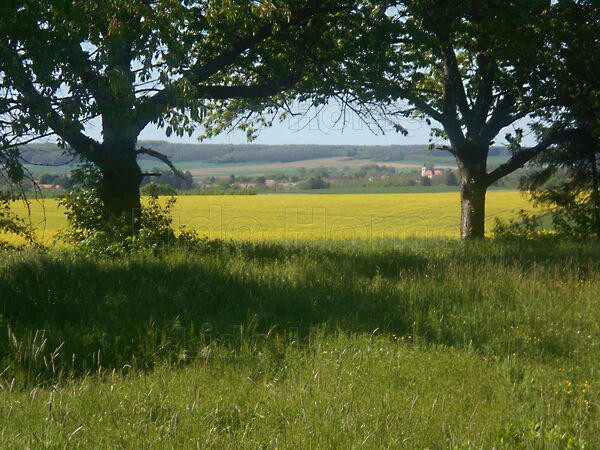 Eladó földterület Olaszfa