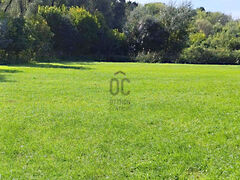 Eladó földterület Körösnagyharsány