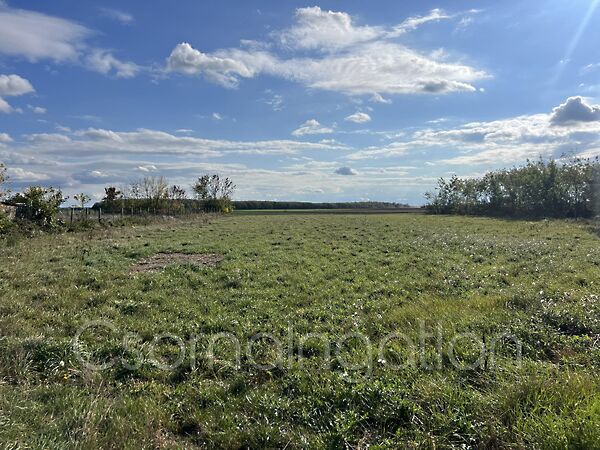 Eladó földterület Farád