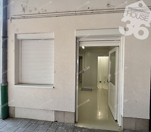 Eladó üzleti Kiskunfélegyháza