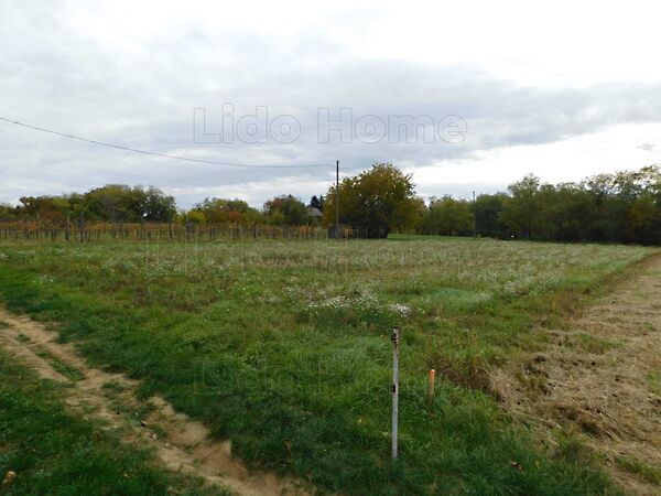 Eladó földterület Szentgyörgyvár